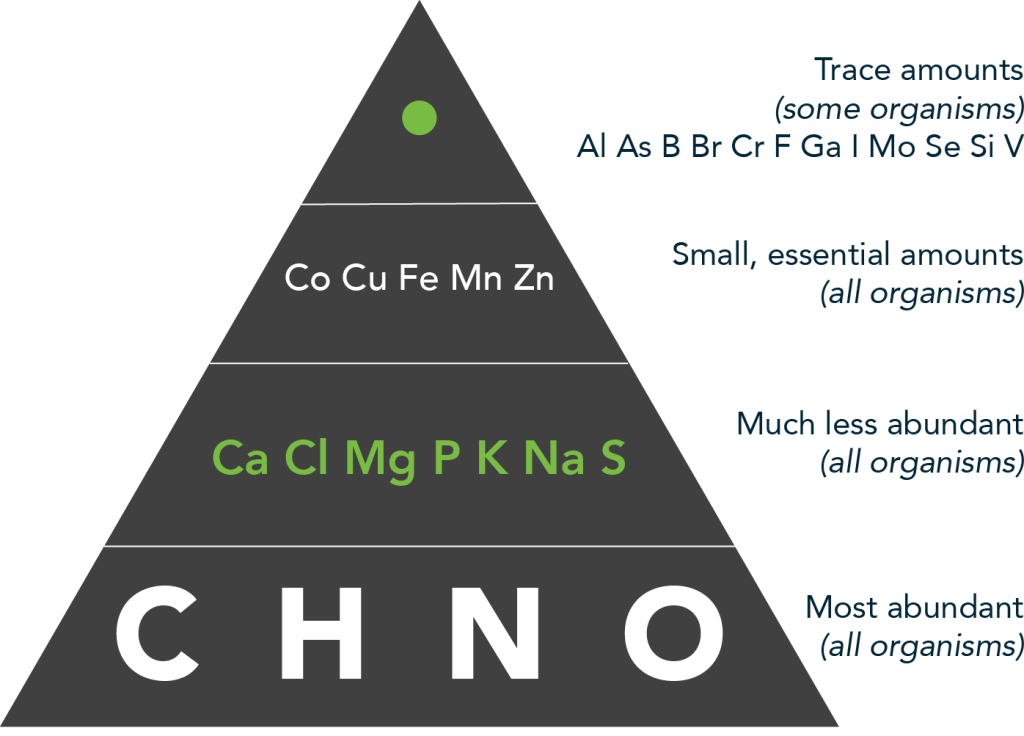 Use Safe Chemistry Biomimicry Toolbox