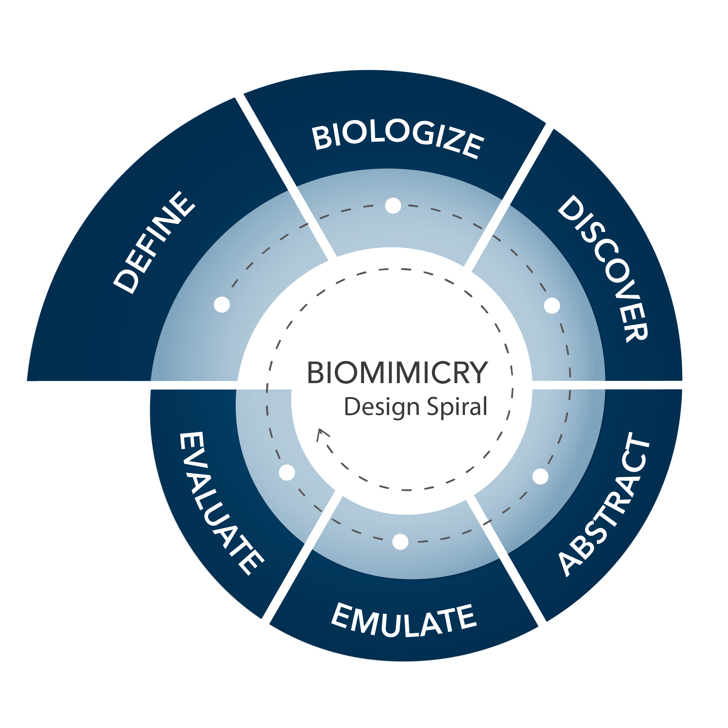 biomimicry research