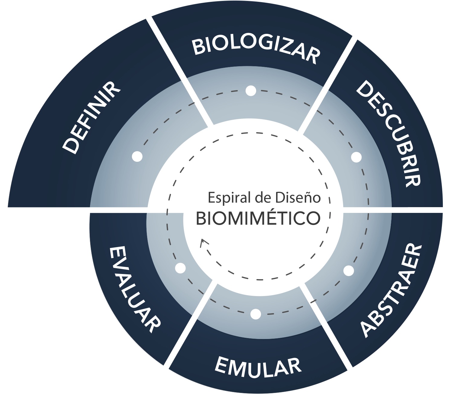 Espiral de Diseño Biomimético